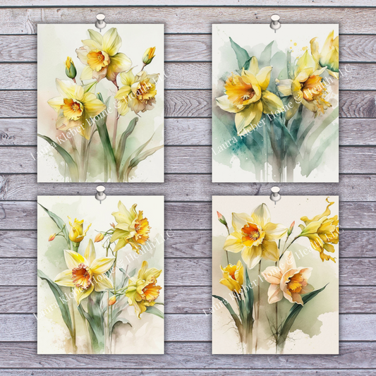 Prints | Daffodils