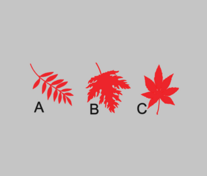 Interchangeable Mini Sign Tiles - Fall Leaves (COMMENT SOLD ONLY)