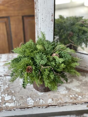 Bristlecone Cedar Half Sphere